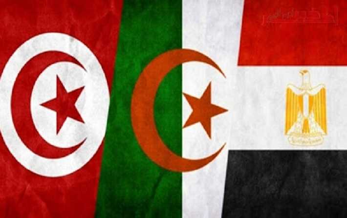 اتّفاق بين مصر والجزائر على دعم الإستقرار في تونس وإنفاذ إرادة الشعب

