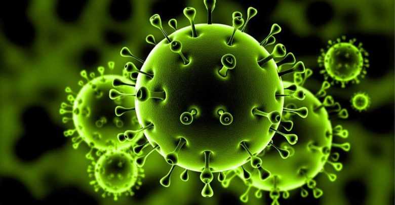 فيروس كرونا الخطير: أعراضه و طرق الوقاية و الإجراءات التي تم اتخاذها في الغرض 