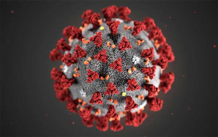 تسجيل 4 حالات اصابة جديدة بفيروس كوفيد 19 المستجد