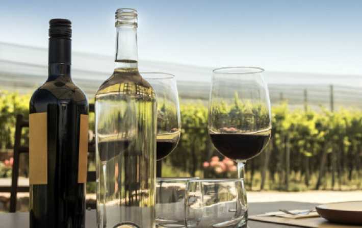 النبيذ التونسي يُنافس أشهر الأنواع العالميّة من حيثُ  الجودة 