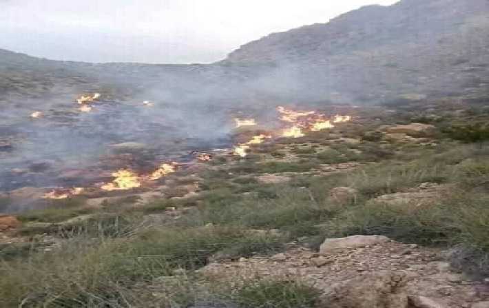 سيدي بوزيد: إندلاع حريق بجبل الخشم