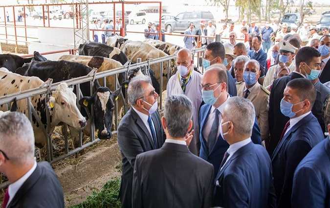 رئيس الحكومة من جندوبة : الفلاحة جزء من السيادة وعلى الشباب العودة الى الأرض

