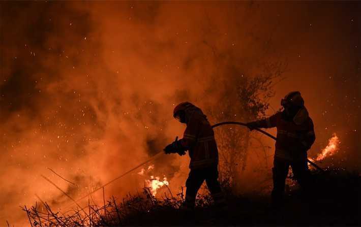 اندلاع 42 حريقا بطريقة متزامنة في عدّة ولايات والسلط الأمنية تتعهد بالبحث