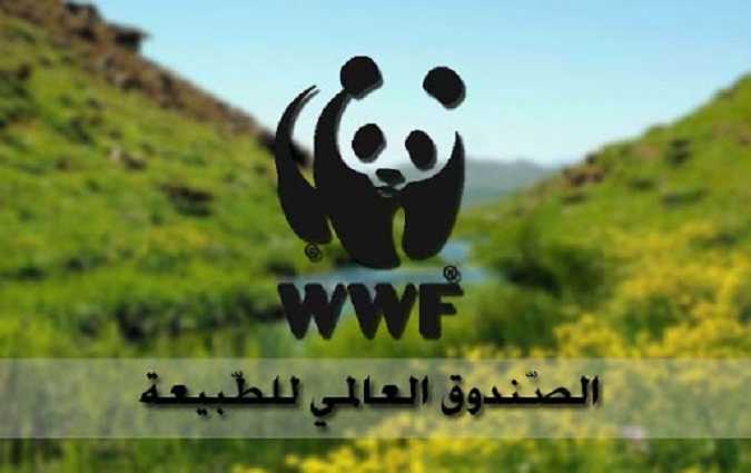 الصندوق العالمي للطبيعة يرفض استبدال الورق بالبلاستيك في تغليف الاسمنت بتونس

