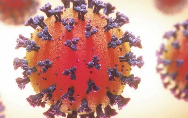 فيروس كورونا : 1223 حالة إصابة 5 وفيات جديدة 