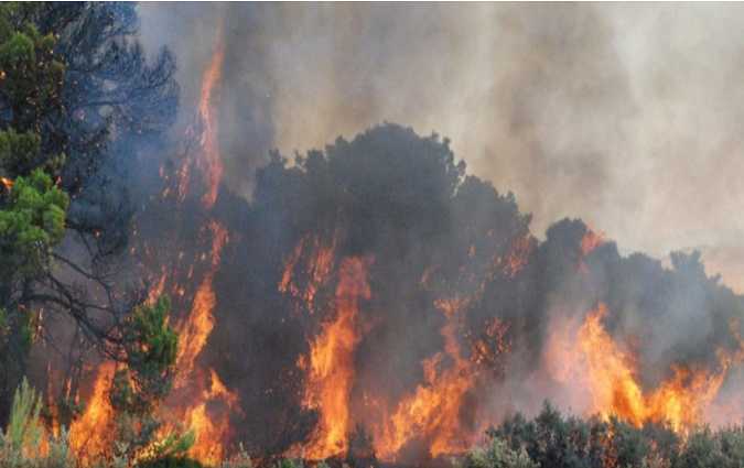 الحرائق تلتهم المنازل وهكتارات من الأراضي الغابيّة في غار الدماء والطويرف

