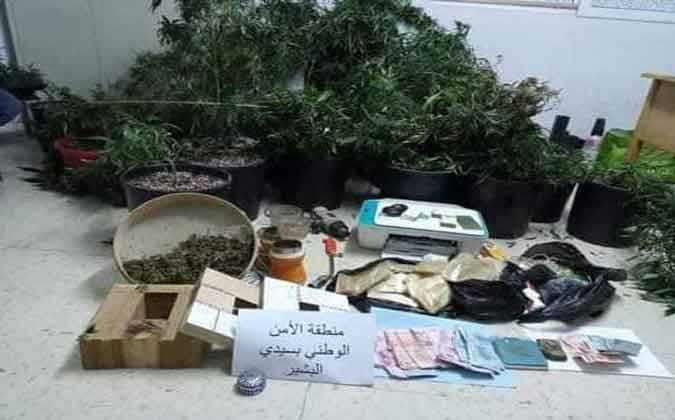 في تونس العاصمة : مواطن يحول منزله الى مكان لزراعة الماريخوانا 