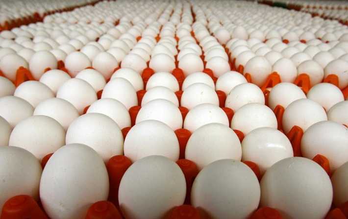 نقص 16 مليون بيضة في سبتمبر الجاري - تونس تعيش أزمة نقص في البيض 

