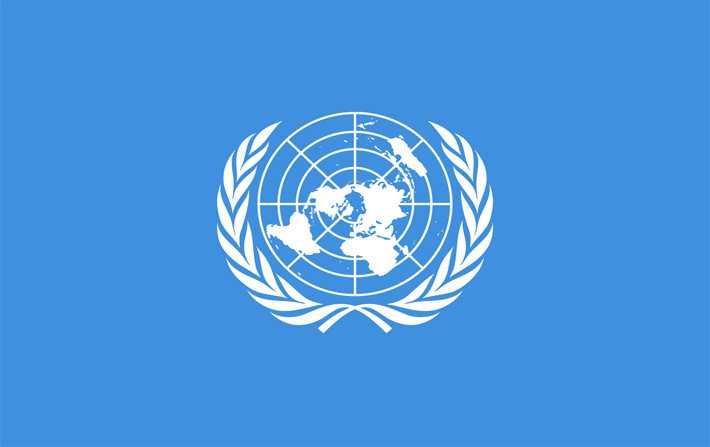 الأمم المتحدة : منصف قرطاس يتمتع بالحصانة الأممية