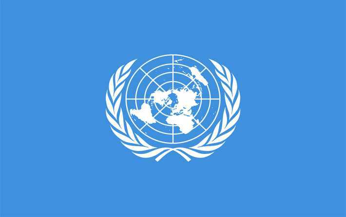 منظمة الأمم المتحدة: مواصلة احتجاز المنصف قرطاس أمر خطير