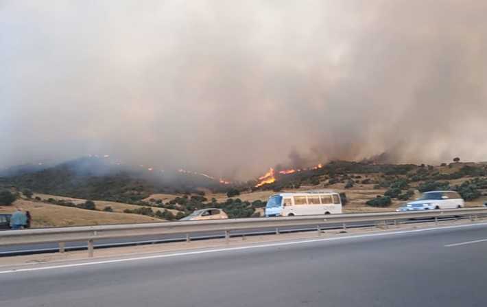 باجة - قبلاط : اندلاع حريق بجبل المرة 