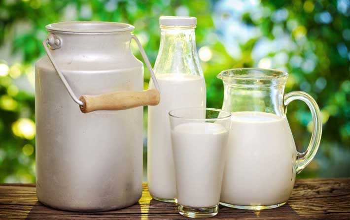 عضو المكتب التنفيذي لاتحاد الفلاحة: مخزون تونس من الحليب يكفي لمدة 9 أيام