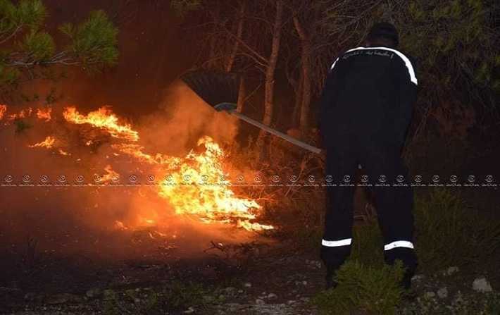 اندلاع حريق بجبل منصور من معتمدية الفحص : العميد تريعة يكشف تفاصيل الحريق 