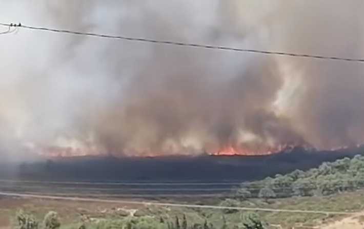 بنزرت : نُشوب حريق بالمنطقة الغابية طمرة من عمادة السحابنة بمعتمدية سجنان