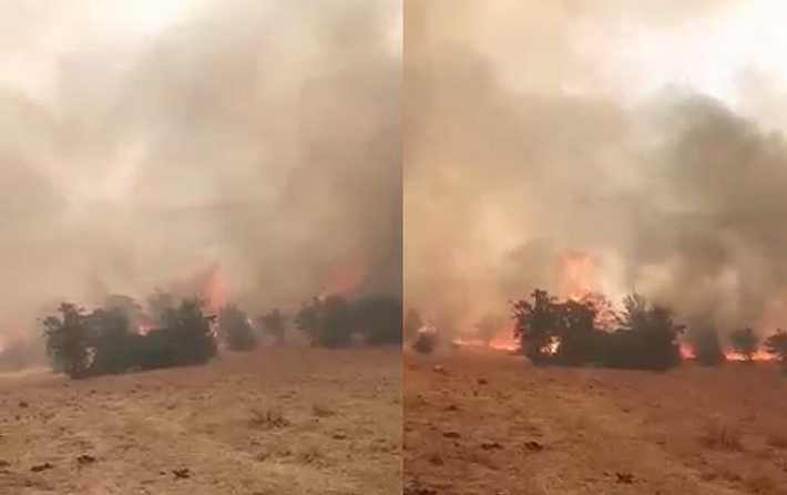 سليانة : حريق بجبل برقو يمتدّ لقصر اللمسة بمعتمدية الوسلاتية من ولاية القيروان 