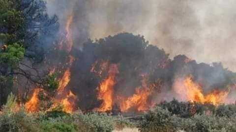 تواصل انتشار النيران في جبل برقو

