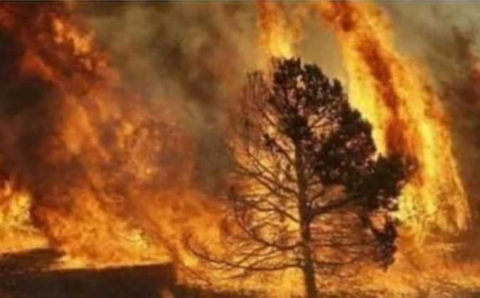 بالفيديو : النيران تلتهم جبل برقو في ولاية سليانة 