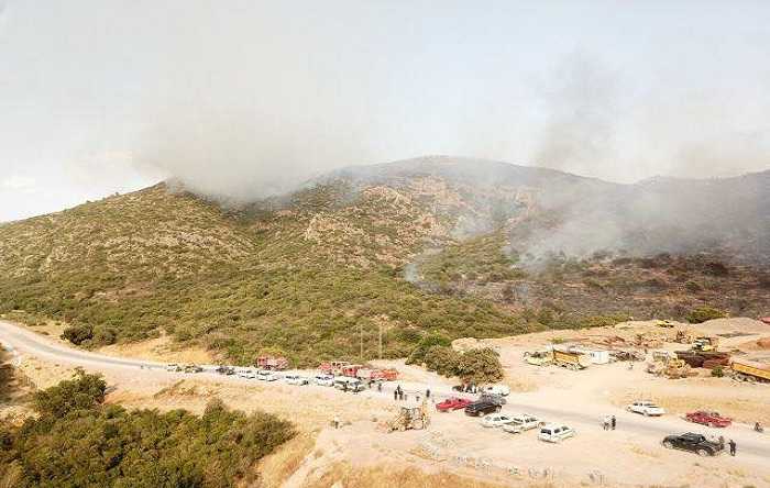 سليانة : السيطرة نهائيا على حريق جبل برقو