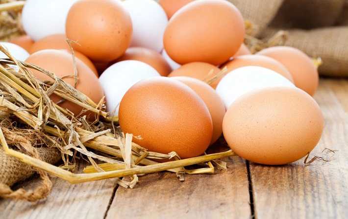 المعهد الوطني للاستهلاك: الفرد الواحد يستهلك 26 بيضة خلال شهر رمضان