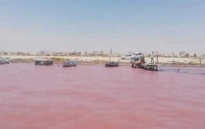 كارثة بيئية ببحر سيدي منصور: إحمرار مياه البحر ونفوق كميات هامّة من الأسماك 