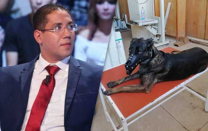 محمود البارودي: الكلب ''فريتس'' أكثر شرفا ووفاء من فصيلة السياسيين 